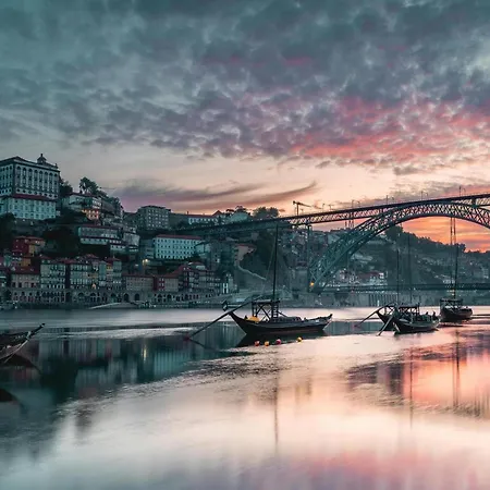 Cozy Perfect Location & Comfort Porto