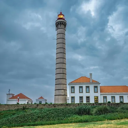 Cozy Perfect Location & Comfort Apartment