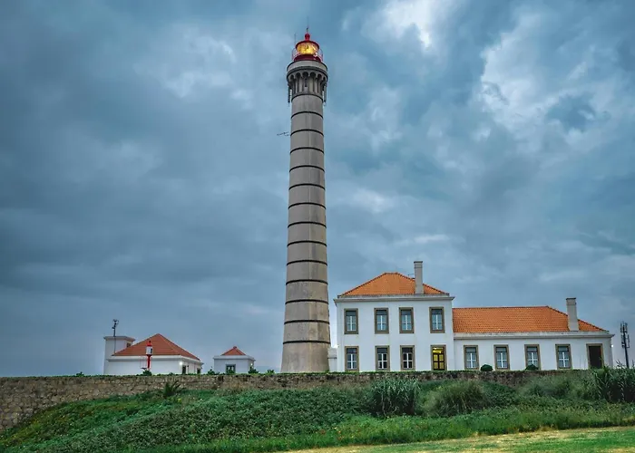 Cozy Perfect Location & Comfort Apartment